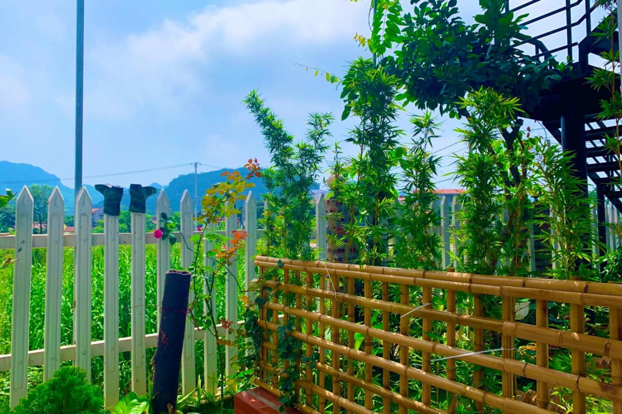 Bed and Breakfast The Pineapple House Ninh Binh Exteriér fotografie